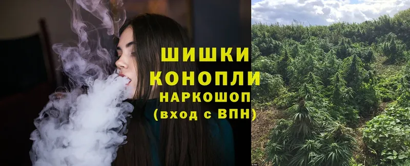 купить наркотик  Звенигово  Бошки Шишки Ganja 